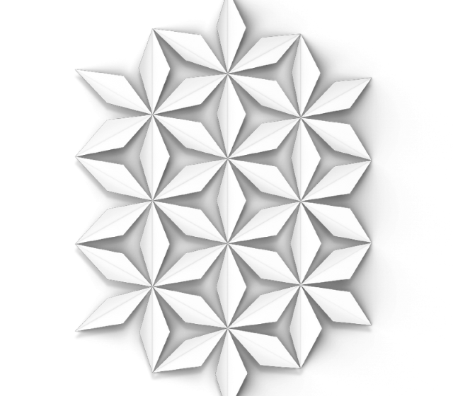 image back